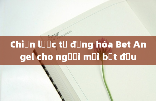 Chiến lược tự động hóa Bet Angel cho người mới bắt đầu