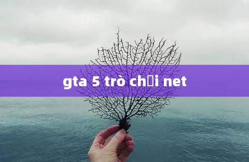 gta 5 trò chơi net