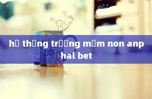 hệ thống trường mầm non anphal bet