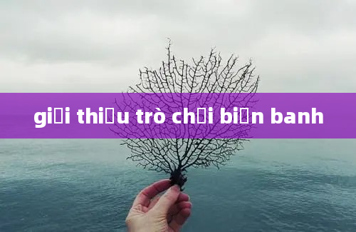 giới thiệu trò chơi biển banh