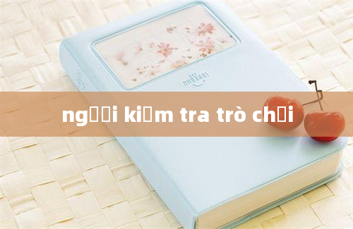 người kiểm tra trò chơi