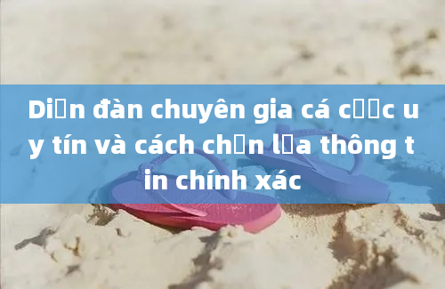 Diễn đàn chuyên gia cá cược uy tín và cách chọn lựa thông tin chính xác