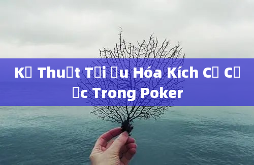 Kỹ Thuật Tối Ưu Hóa Kích Cỡ Cược Trong Poker