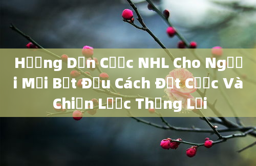 Hướng Dẫn Cược NHL Cho Người Mới Bắt Đầu Cách Đặt Cược Và Chiến Lược Thắng Lợi