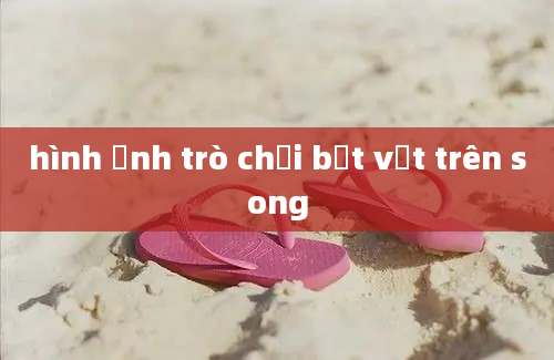 hình ảnh trò chơi bắt vịt trên song