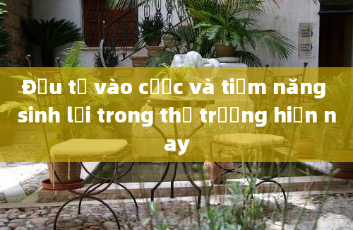 Đầu tư vào cược và tiềm năng sinh lợi trong thị trường hiện nay