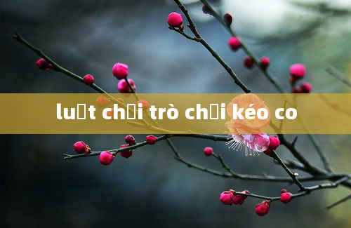 luật chơi trò chơi kéo co