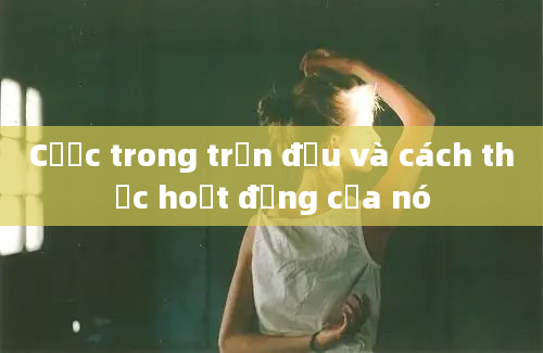 Cược trong trận đấu và cách thức hoạt động của nó