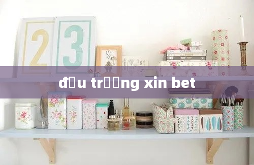 đấu trừờng xin bet