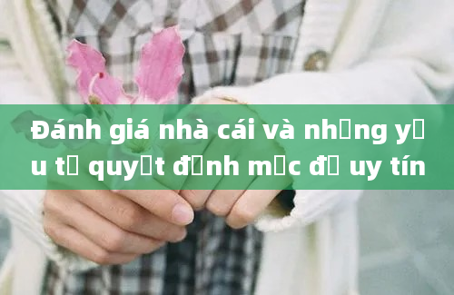 Đánh giá nhà cái và những yếu tố quyết định mức độ uy tín