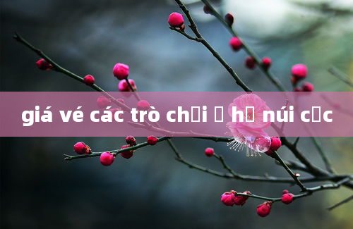 giá vé các trò chơi ở hồ núi cốc