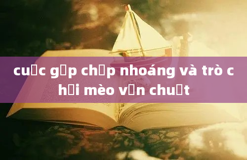 cuộc gặp chớp nhoáng và trò chơi mèo vờn chuột