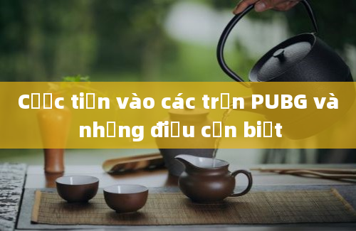 Cược tiền vào các trận PUBG và những điều cần biết