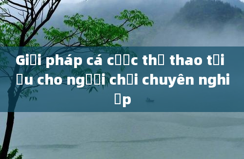 Giải pháp cá cược thể thao tối ưu cho người chơi chuyên nghiệp