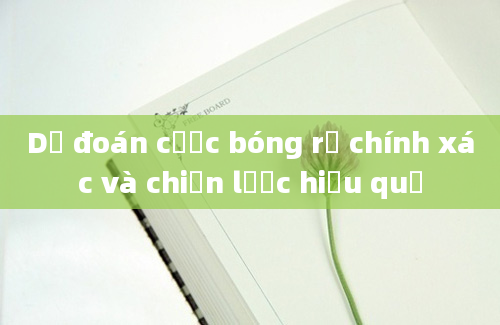 Dự đoán cược bóng rổ chính xác và chiến lược hiệu quả