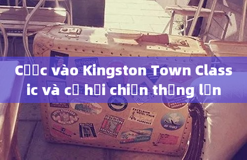 Cược vào Kingston Town Classic và cơ hội chiến thắng lớn