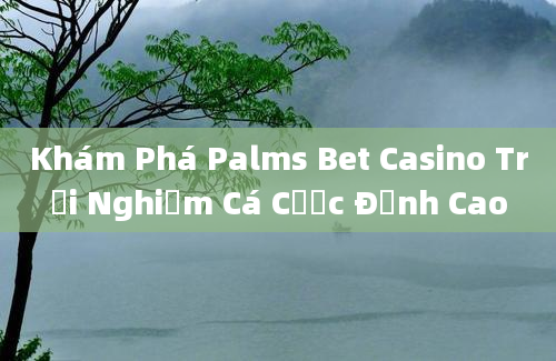 Khám Phá Palms Bet Casino Trải Nghiệm Cá Cược Đỉnh Cao