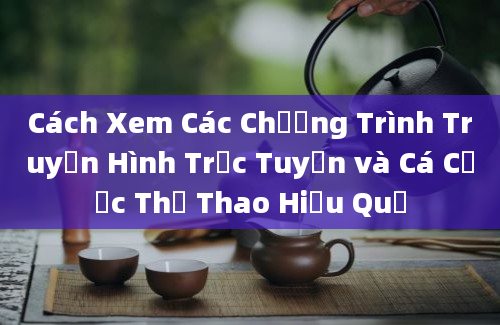 Cách Xem Các Chương Trình Truyền Hình Trực Tuyến và Cá Cược Thể Thao Hiệu Quả