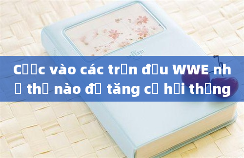 Cược vào các trận đấu WWE như thế nào để tăng cơ hội thắng