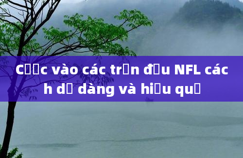 Cược vào các trận đấu NFL cách dễ dàng và hiệu quả