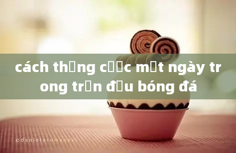 cách thắng cược một ngày trong trận đấu bóng đá