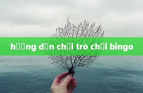 hướng dẫn chơi trò chơi bingo