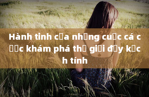 Hành tinh của những cuộc cá cược khám phá thế giới đầy kịch tính