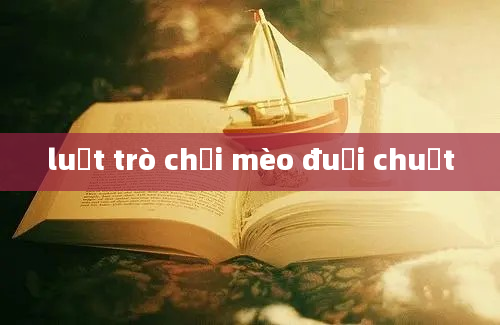 luật trò chơi mèo đuổi chuột