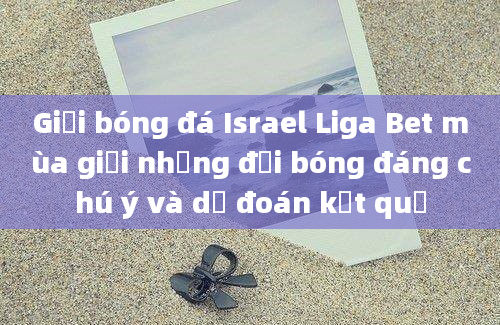 Giải bóng đá Israel Liga Bet mùa giải những đội bóng đáng chú ý và dự đoán kết quả