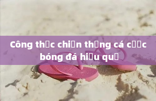 Công thức chiến thắng cá cược bóng đá hiệu quả