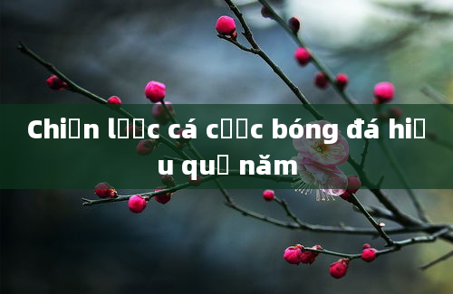 Chiến lược cá cược bóng đá hiệu quả năm