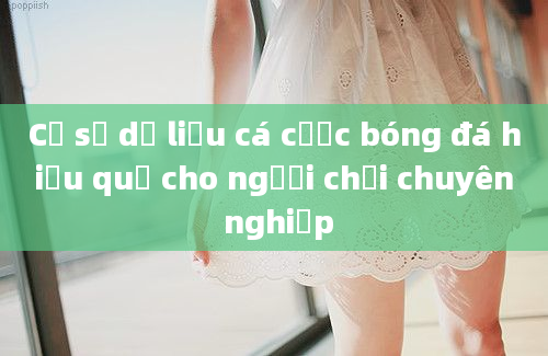 Cơ sở dữ liệu cá cược bóng đá hiệu quả cho người chơi chuyên nghiệp