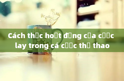 Cách thức hoạt động của cược lay trong cá cược thể thao