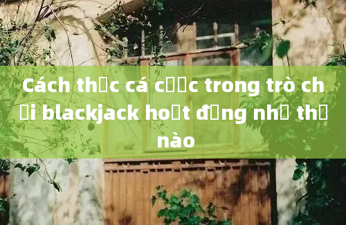 Cách thức cá cược trong trò chơi blackjack hoạt động như thế nào