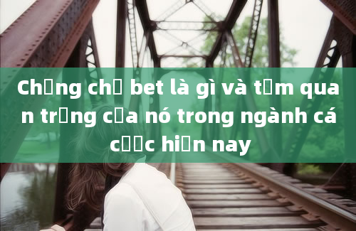 Chứng chỉ bet là gì và tầm quan trọng của nó trong ngành cá cược hiện nay