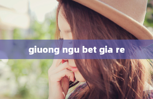 giuong ngu bet gia re