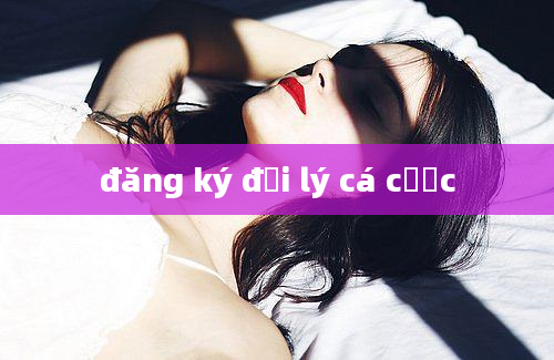 đăng ký đại lý cá cược