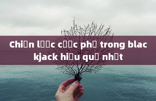 Chiến lược cược phụ trong blackjack hiệu quả nhất