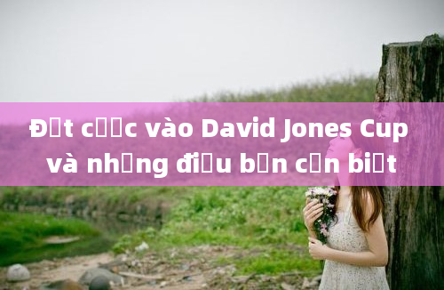 Đặt cược vào David Jones Cup và những điều bạn cần biết