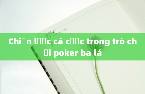 Chiến lược cá cược trong trò chơi poker ba lá