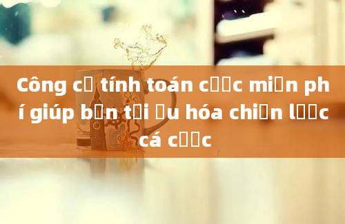 Công cụ tính toán cược miễn phí giúp bạn tối ưu hóa chiến lược cá cược