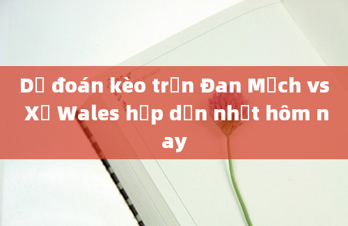 Dự đoán kèo trận Đan Mạch vs Xứ Wales hấp dẫn nhất hôm nay