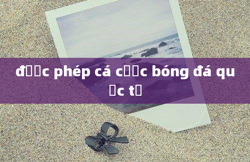 được phép cá cược bóng đá quốc tế