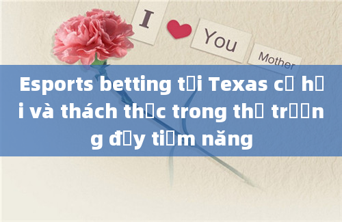 Esports betting tại Texas cơ hội và thách thức trong thị trường đầy tiềm năng