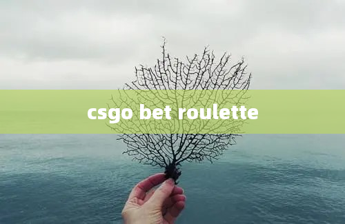 csgo bet roulette