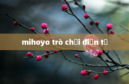 mihoyo trò chơi điện tử