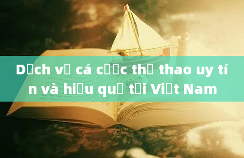 Dịch vụ cá cược thể thao uy tín và hiệu quả tại Việt Nam