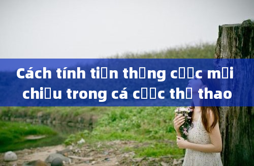 Cách tính tiền thắng cược mỗi chiều trong cá cược thể thao