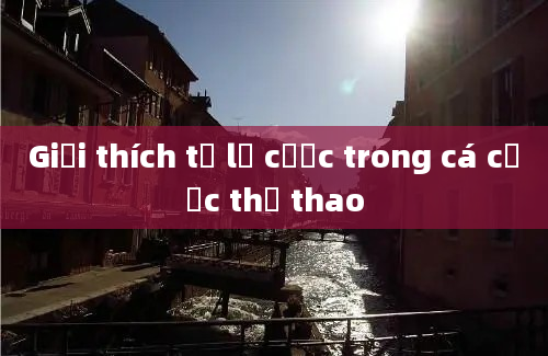 Giải thích tỉ lệ cược trong cá cược thể thao