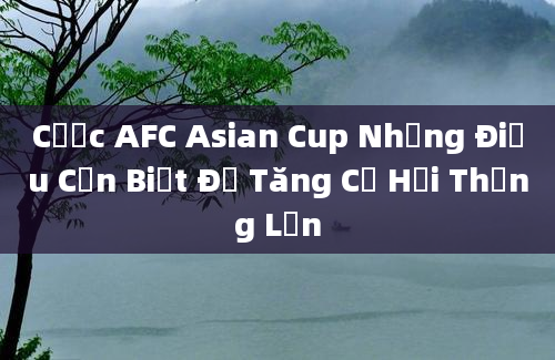 Cược AFC Asian Cup Những Điều Cần Biết Để Tăng Cơ Hội Thắng Lớn